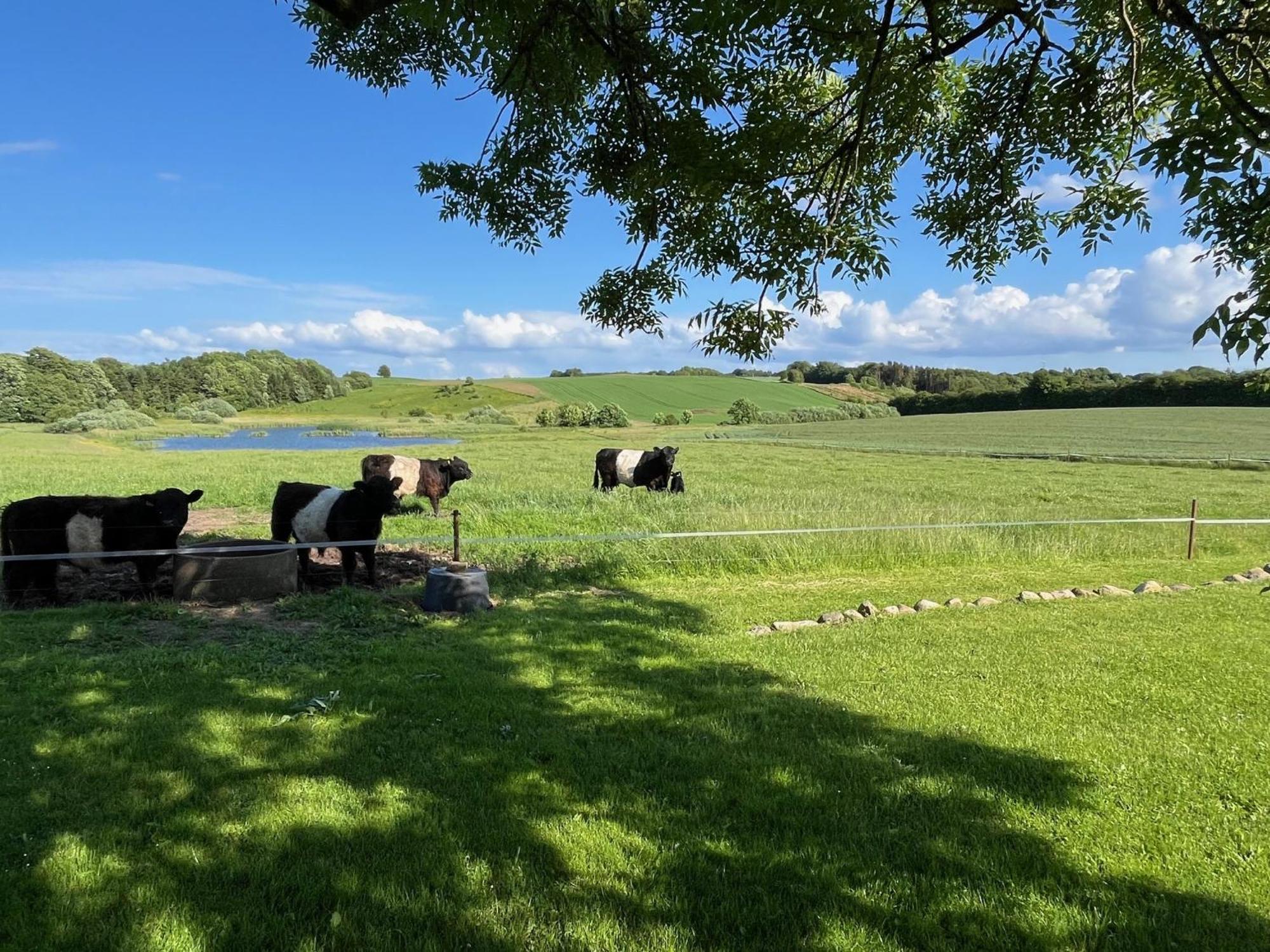 Villa Meldbjerg Stouby Esterno foto